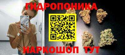 ПСИЛОЦИБИНОВЫЕ ГРИБЫ Тверь
