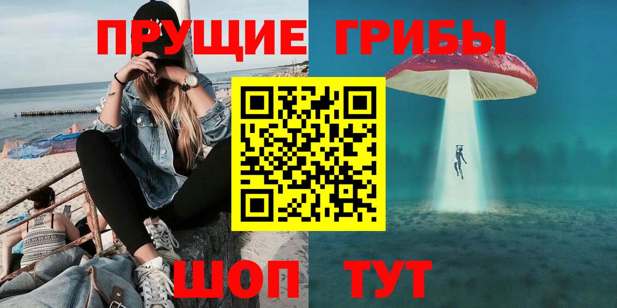 купить наркотики сайты  Псилоцибиновые грибы GOLDEN TEACHER  Вход с VPN  Асино 